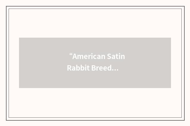 “American Satin Rabbit Breeders Association”缩略