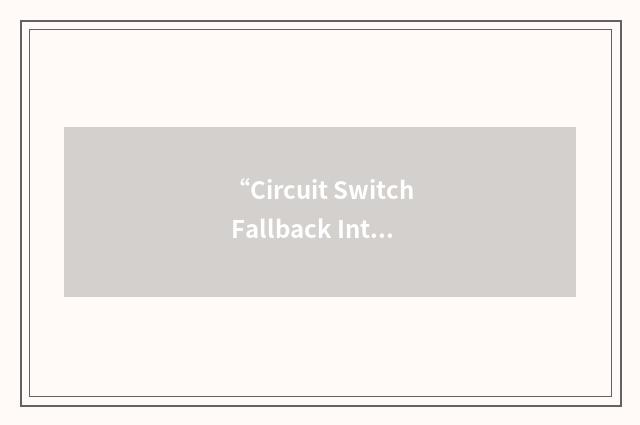 “Circuit Switch Fallback Interworking Function”缩略