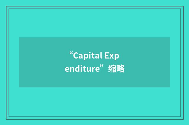 “Capital Expenditure”缩略