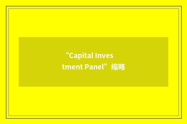 “Capital Investment Panel”缩略