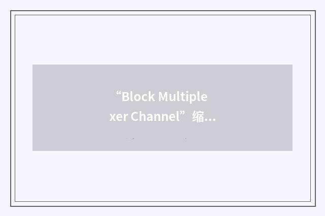 “Block Multiplexer Channel”缩略