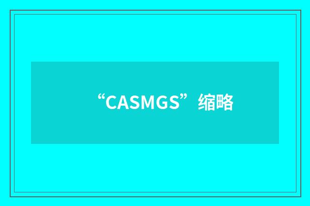 “CASMGS”缩略