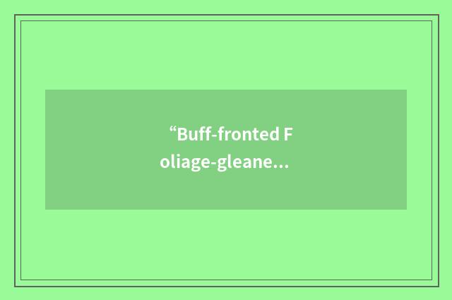 “Buff-fronted Foliage-gleaner”缩略