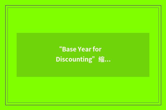 “Base Year for Discounting”缩略