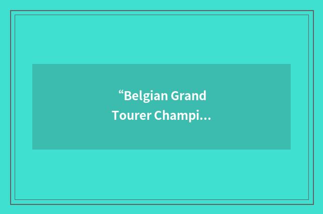 “Belgian Grand Tourer Championship”缩略