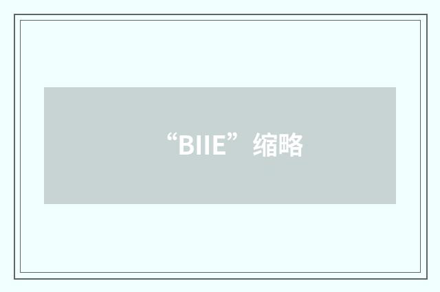 “BIIE”缩略