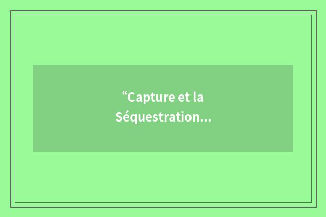 “Capture et la Séquestration du Co2”缩略