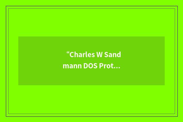 “Charles W Sandmann DOS Protected Mode Interface”缩略