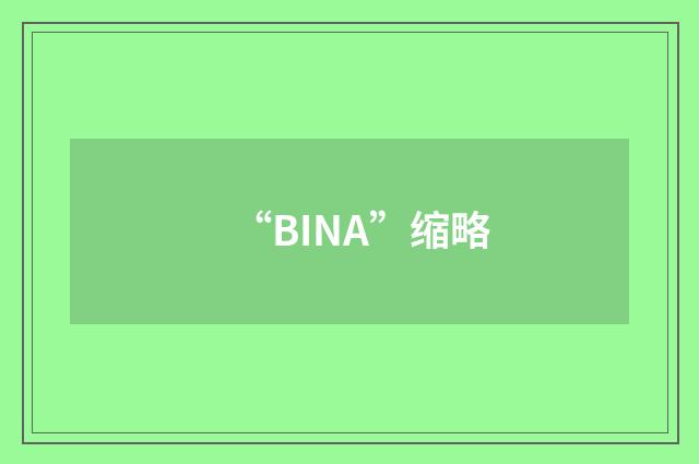 “BINA”缩略
