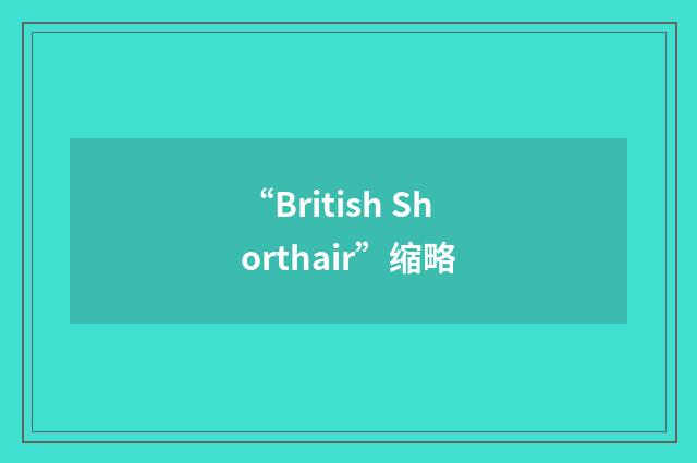 “British Shorthair”缩略
