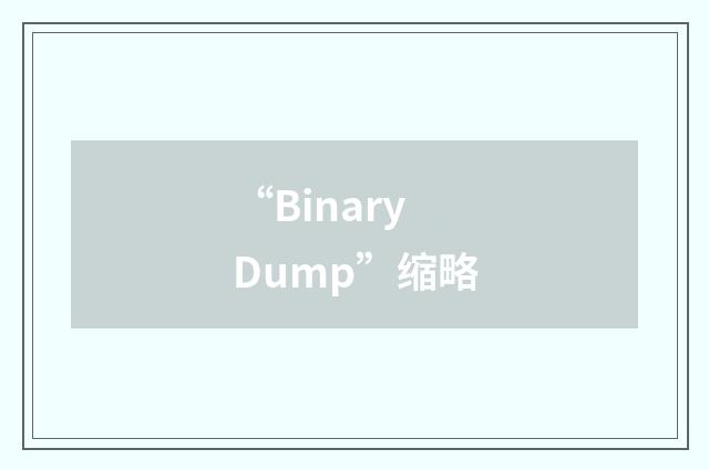 “Binary Dump”缩略