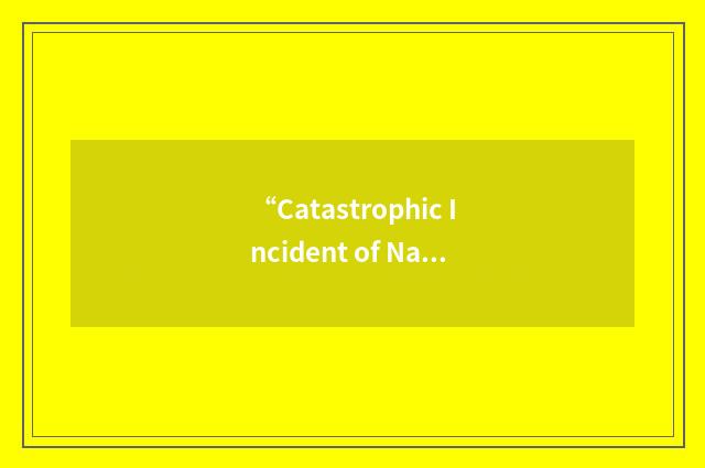 “Catastrophic Incident of National Significance”缩略