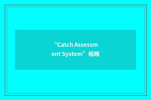 “Catch Assessment System”缩略