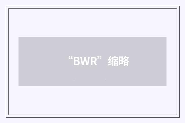 “BWR”缩略