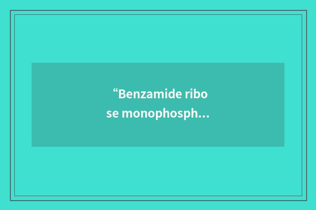 “Benzamide ribose monophosphate”缩略