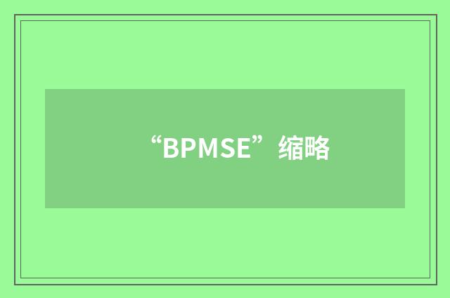 “BPMSE”缩略