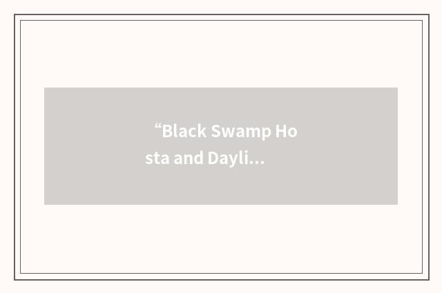 “Black Swamp Hosta and Daylily Society”缩略