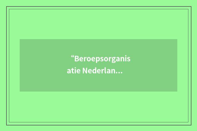 “Beroepsorganisatie Nederlandse Ontwerpers”缩略