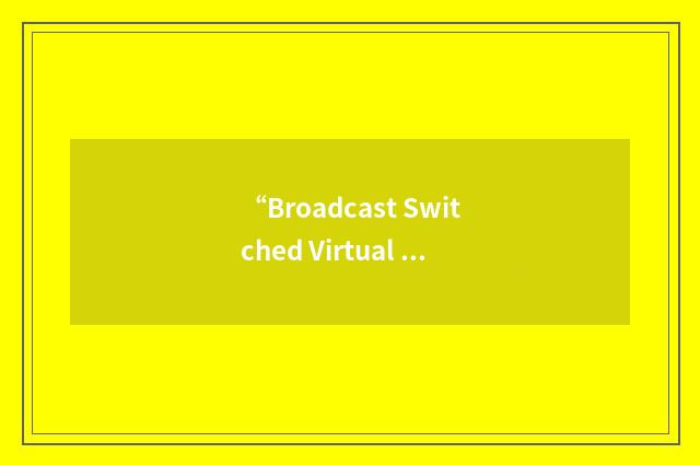 “Broadcast Switched Virtual Connection”缩略