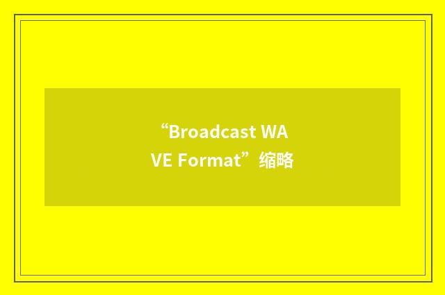 “Broadcast WAVE Format”缩略