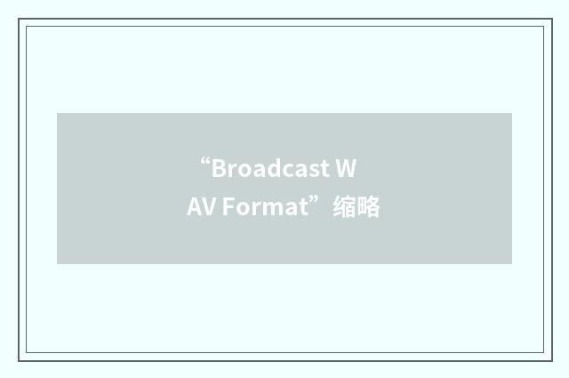 “Broadcast WAV Format”缩略