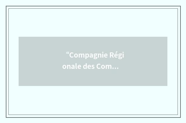 “Compagnie Régionale des Commissaires aux Comptes de Paris”缩略