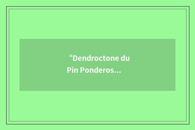 “Dendroctone du Pin Ponderosa”缩略