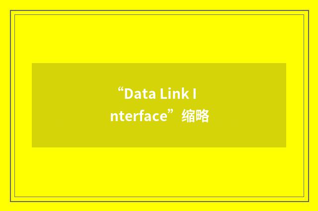 “Data Link Interface”缩略