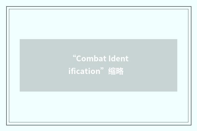 “Combat Identification”缩略