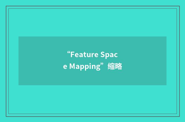 “Feature Space Mapping”缩略