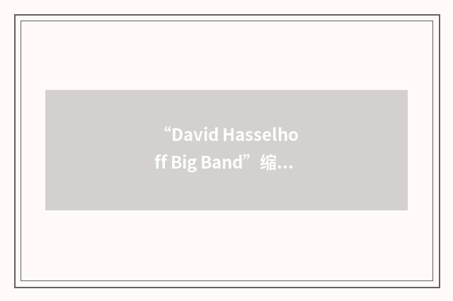 “David Hasselhoff Big Band”缩略