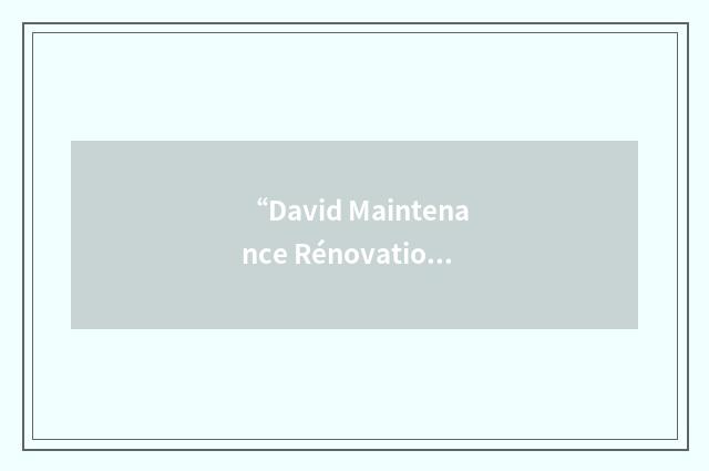 “David Maintenance Rénovation et Domotique”缩略