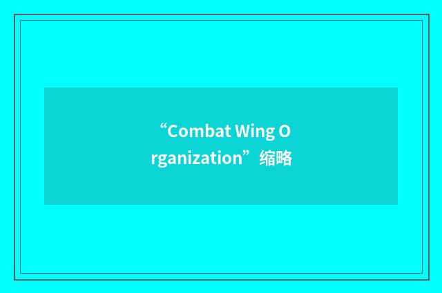 “Combat Wing Organization”缩略