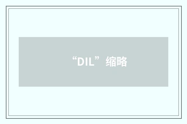 “DIL”缩略