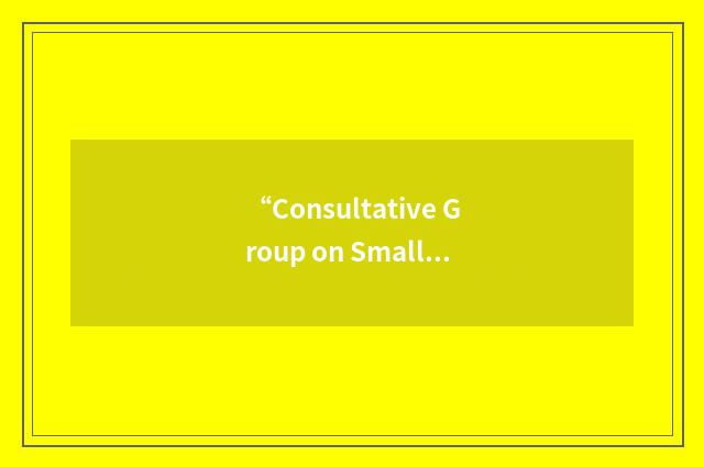 “Consultative Group on Smaller Economies”缩略