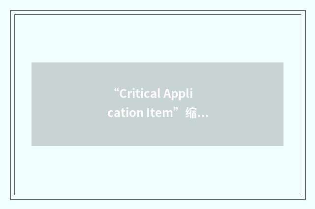“Critical Application Item”缩略