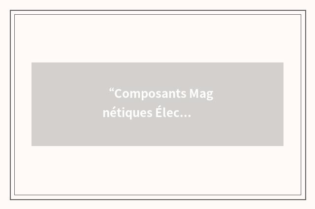 “Composants Magnétiques Électroniques”缩略