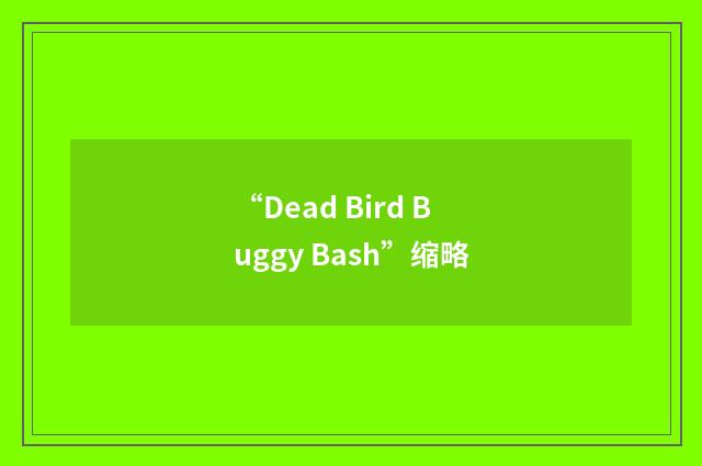 “Dead Bird Buggy Bash”缩略