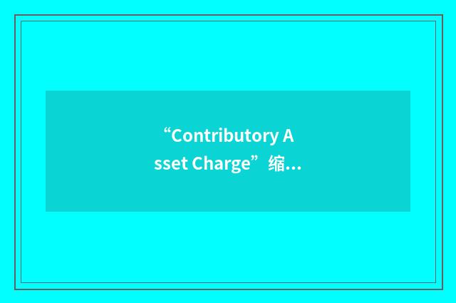 “Contributory Asset Charge”缩略