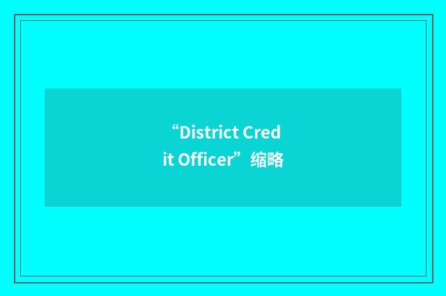 “District Credit Officer”缩略