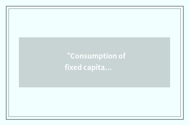 “Consumption of fixed capital”缩略