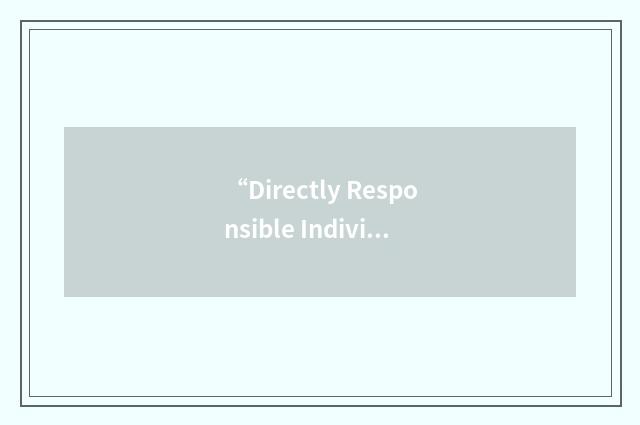“Directly Responsible Individual”缩略