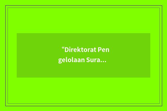 “Direktorat Pengelolaan Surat Utang Negara”缩略