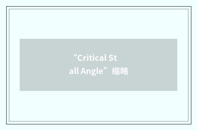 “Critical Stall Angle”缩略