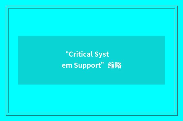 “Critical System Support”缩略