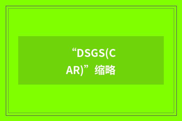 “DSGS(CAR)”缩略