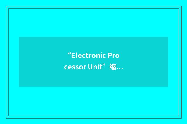 “Electronic Processor Unit”缩略