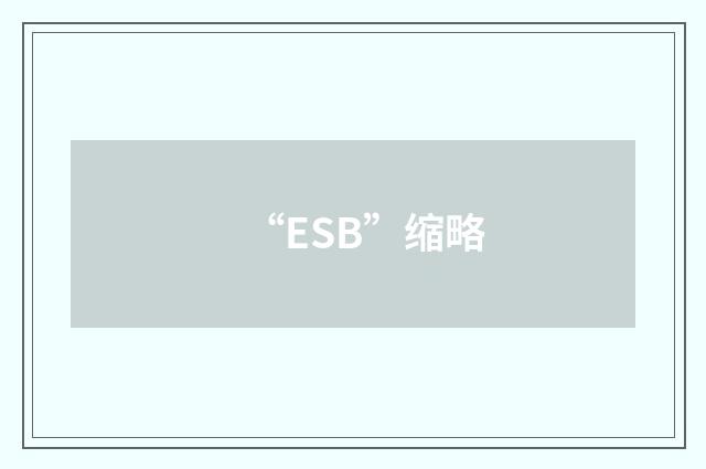 “ESB”缩略