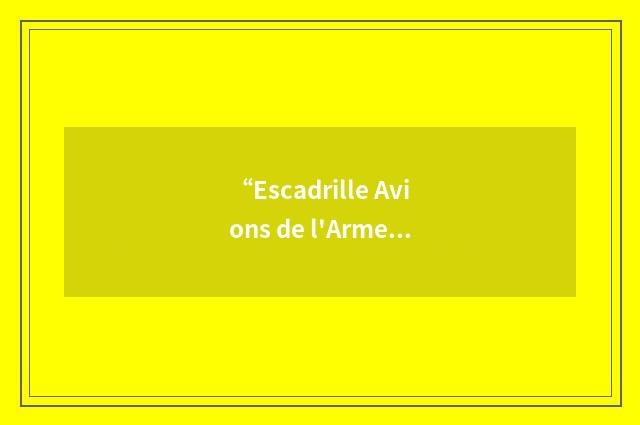 “Escadrille Avions de l'Armee de Terre”缩略