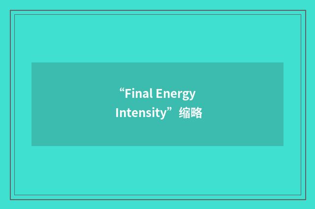 “Final Energy Intensity”缩略